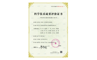 勝動集團公司20V190 大功率燃氣發(fā)電機組通過國際先進水平鑒定