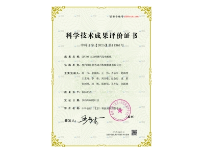 勝動集團公司20V190 大功率燃氣發(fā)電機組通過國際先進水平鑒定